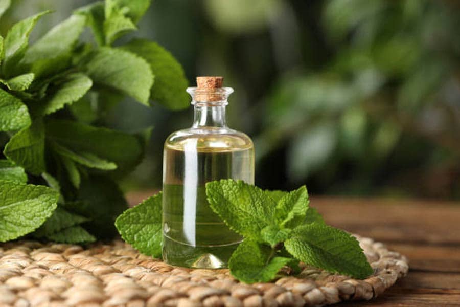 قیمت عرق نعنا